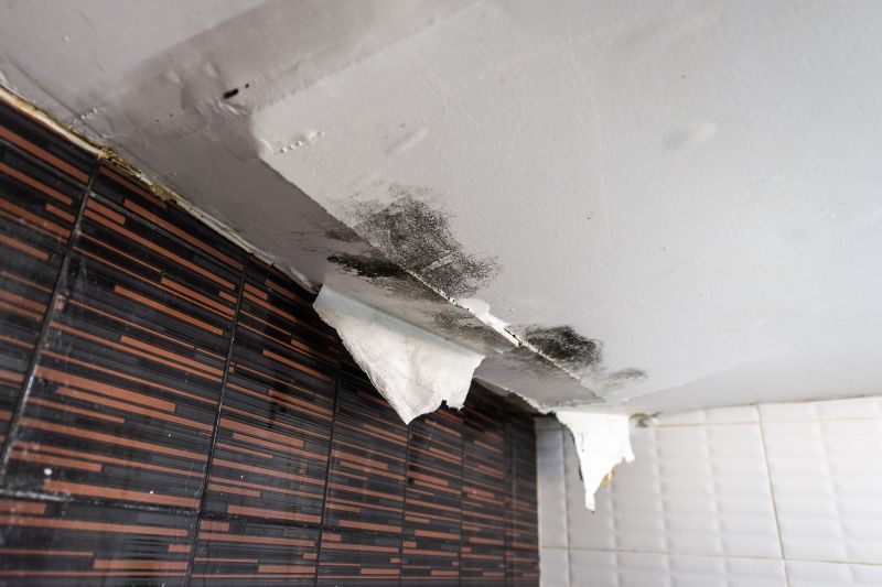 Bathroom Water Damage Repair in Littleton, CO