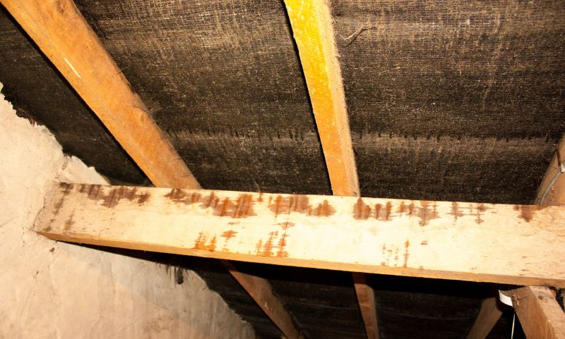 Bathroom Water Damage Repair in Littleton, CO